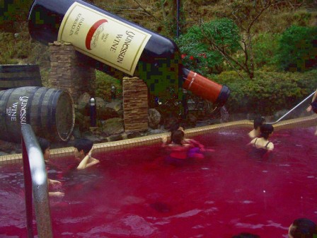 The-red-wine-bath-at-Hakone-Kowakien-Yunessun.-By-kc7fys-Flickr-1024x768.jpg
