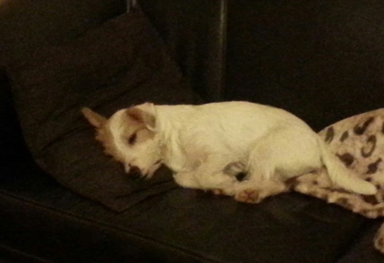 20131211_084626-1.jpg