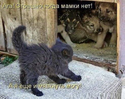 getImage (7).jpg