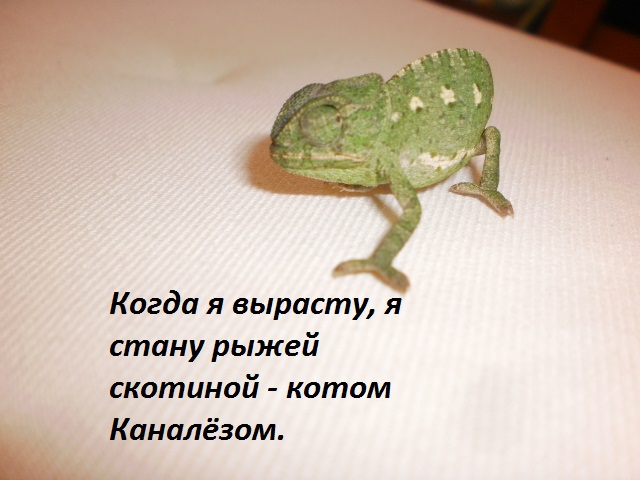 Будещее малыша.jpg