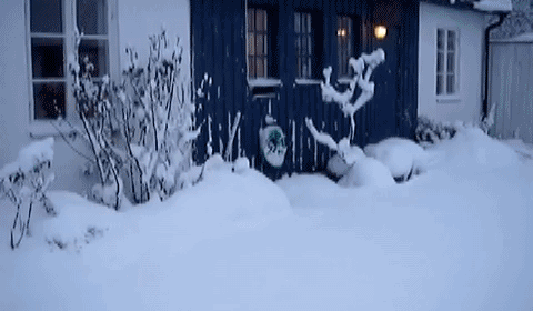 1220149_original.gif