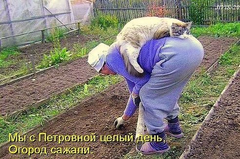 getImage (5).jpg