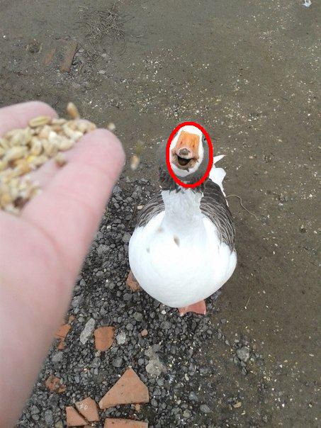 untitled.JPG
