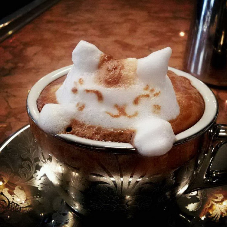 picdump_catsmob_dot_com_02726_017.jpg