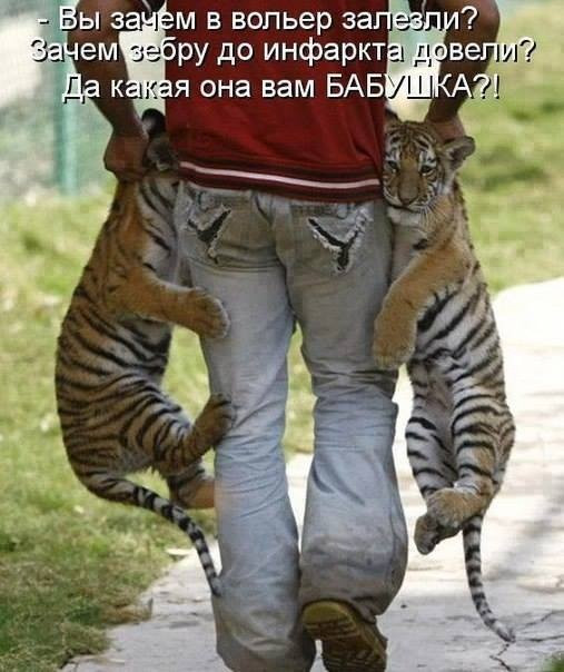 фотография.JPG