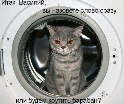 Поле чудес.jpg