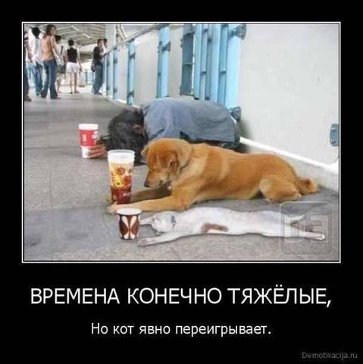 getImage (5).jpg