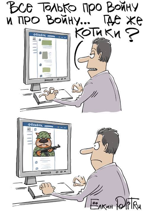 про котов.jpg