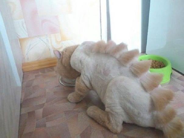 КОТЗИЛЛА.jpg