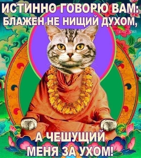 8sxHdy0XLN8.jpg