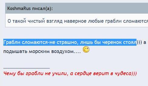 Грабли.jpg