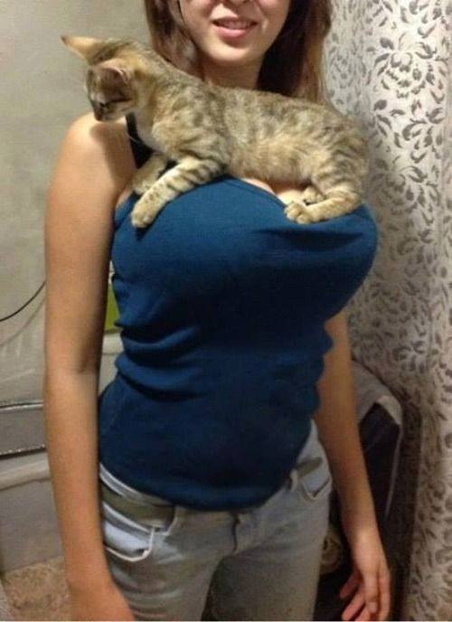 xxxl.jpg