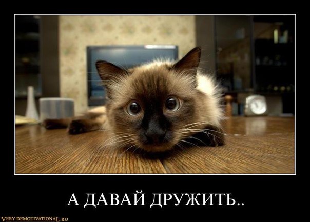 574268_original.jpg
