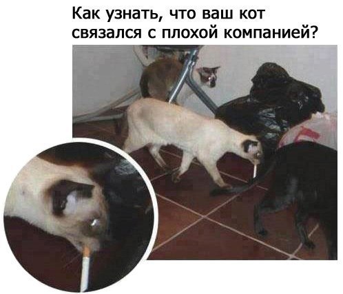 LCBZpgas1kA.jpg