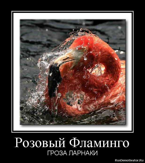 щш.png