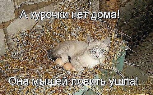 getImage (5).jpg