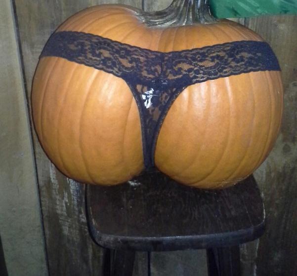 picdump_catsmob_dot_com_03311_054.jpg