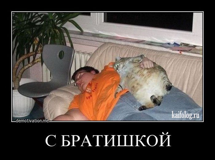 братишка.jpg