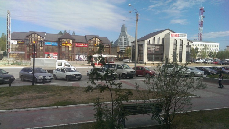 листочки.jpg