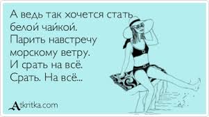 белая чайка.jpg