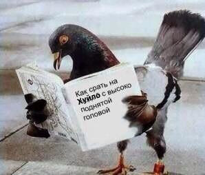 Х-рень