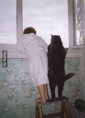 котик.jpg