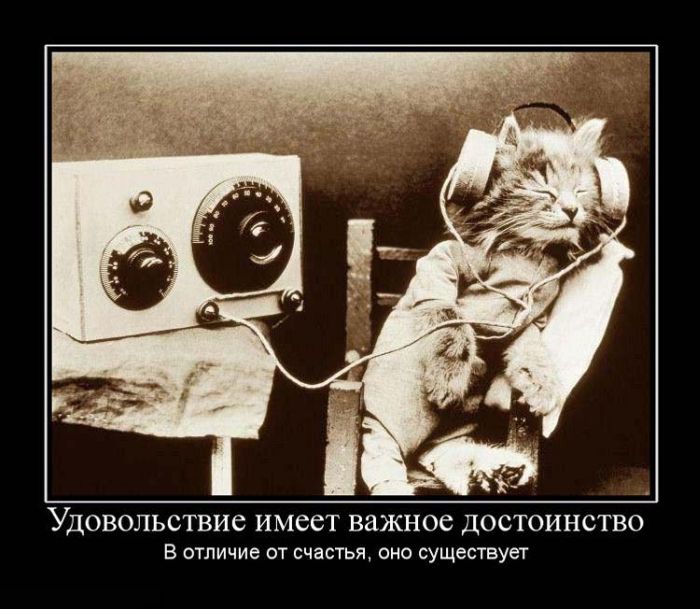 удовольствие.jpg