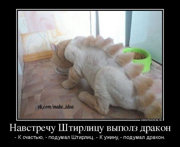 896230_navstrechu-shtirlitsu-vyipolz-drakon_demotivators_to.jpg