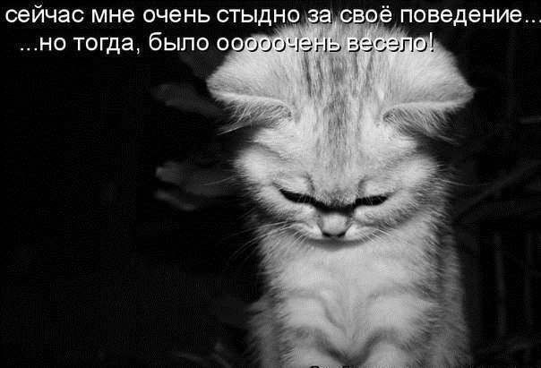 -jJGobSyfvk.jpg