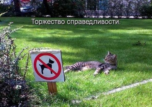 getImage (3).jpg