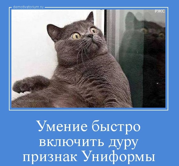 dm_temp_image_32610141542384024877.jpg