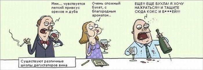 shkoly-degustatorov-vina.jpeg