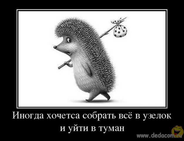 Image00010.jpg