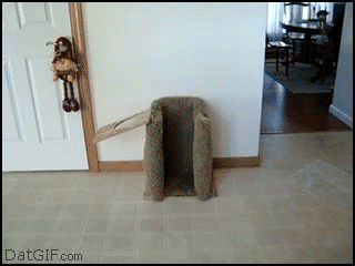 3CE (2).gif