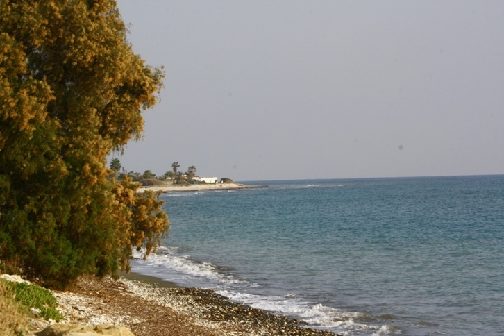 IMG_4993.JPG