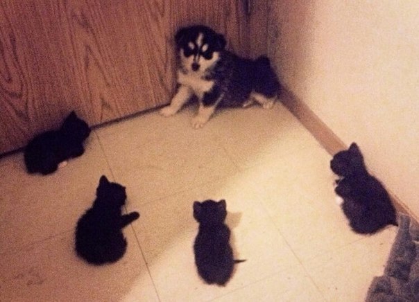 MMCUCgyGZjI.jpg