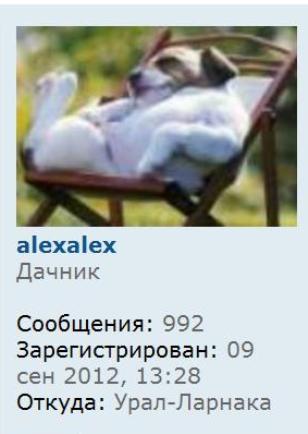 Алексалекс.jpg