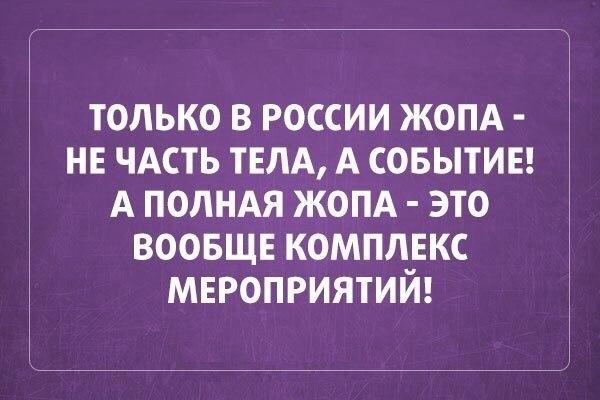 2085998_original.jpg