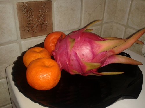 Natyurmort_500x375.jpg