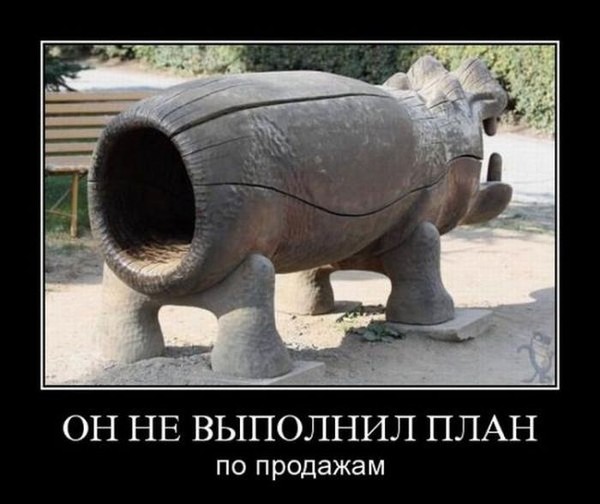 продажи.jpg