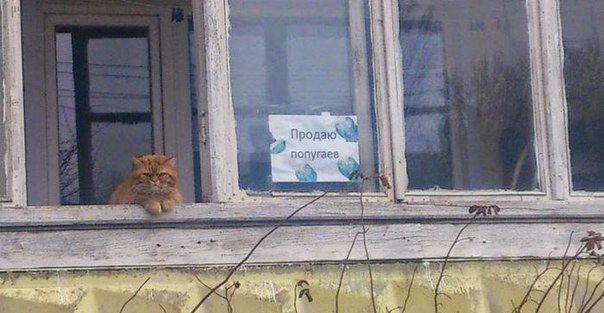 попугаев.jpg