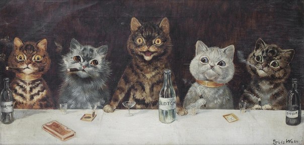 Коты каналеза. Я с Glenом слева.