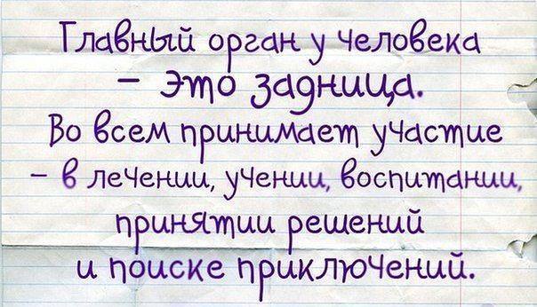 10577042_608279322606565_7246017849162795603_n.jpg