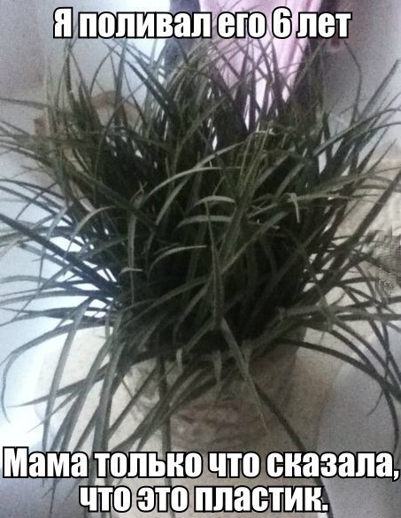 cdhrADHHdwE.jpg