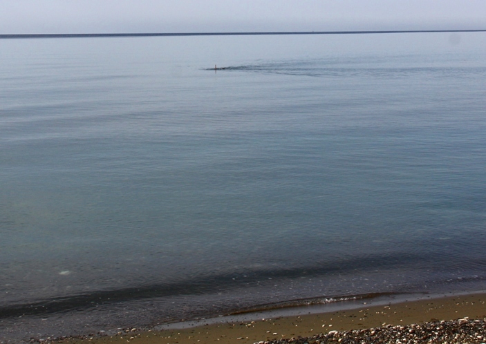 IMG_5336.JPG